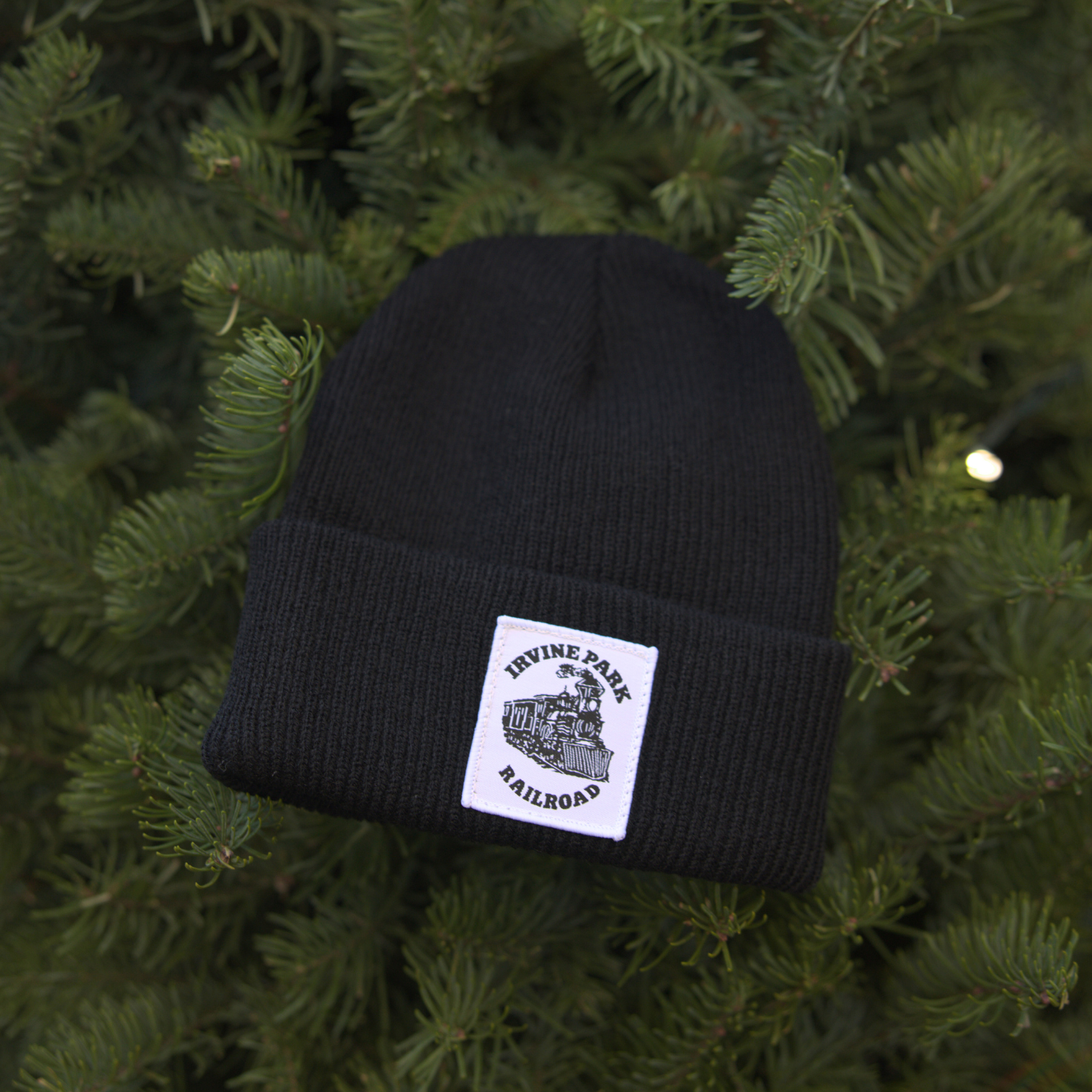 Irvine Park Railroad Beanie