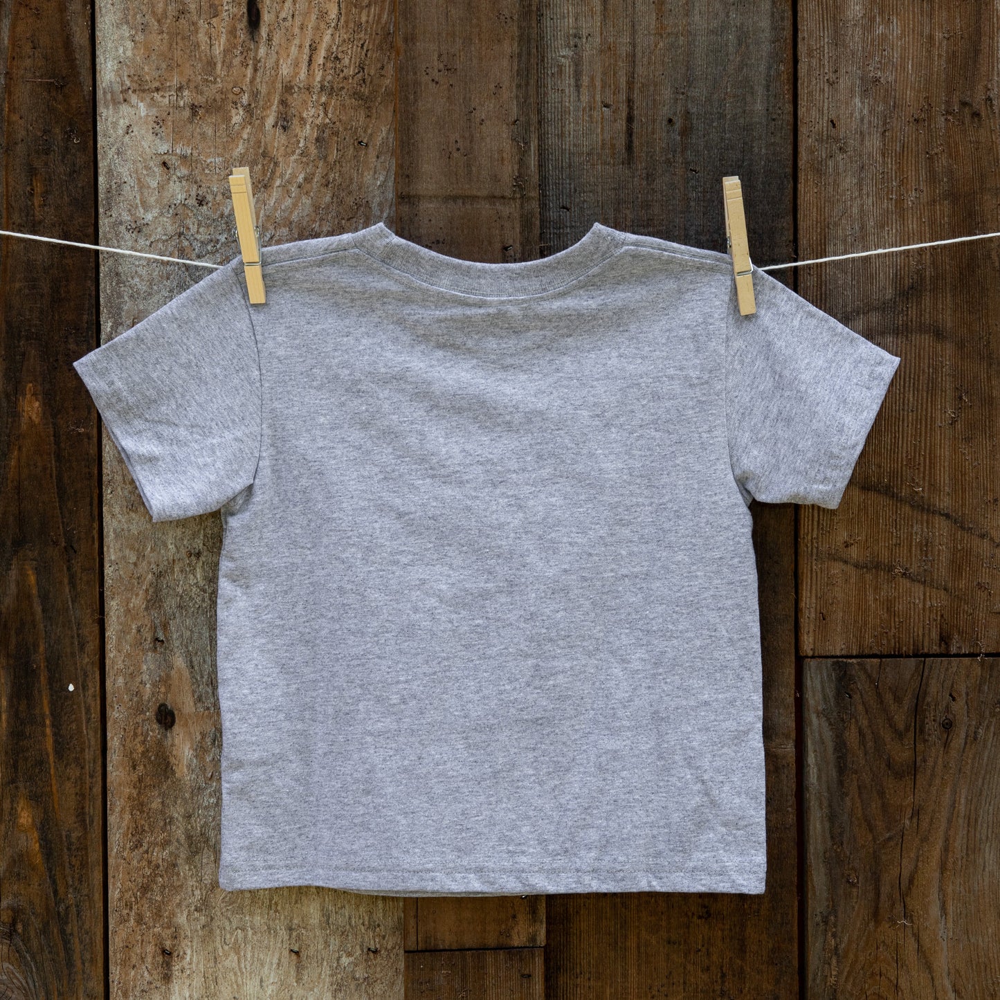 gray locomotive kids shirt